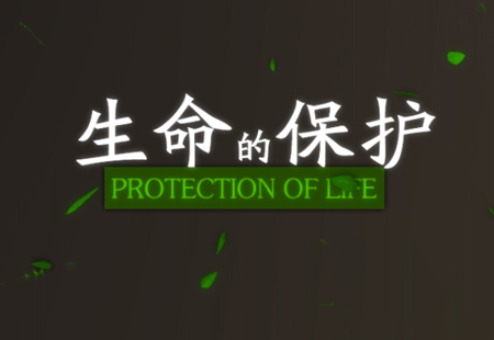 分析河南Mg動(dòng)畫(huà)廣告有哪些優(yōu)點(diǎn)?